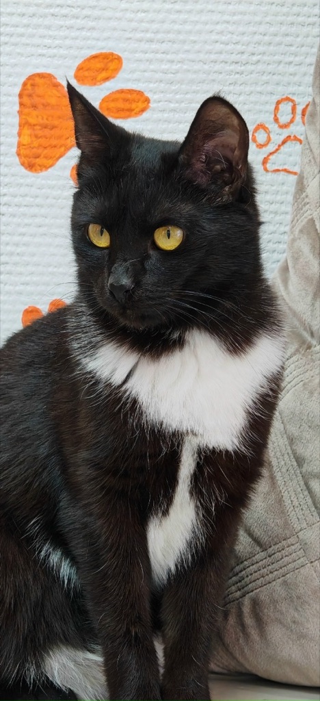 Марта
